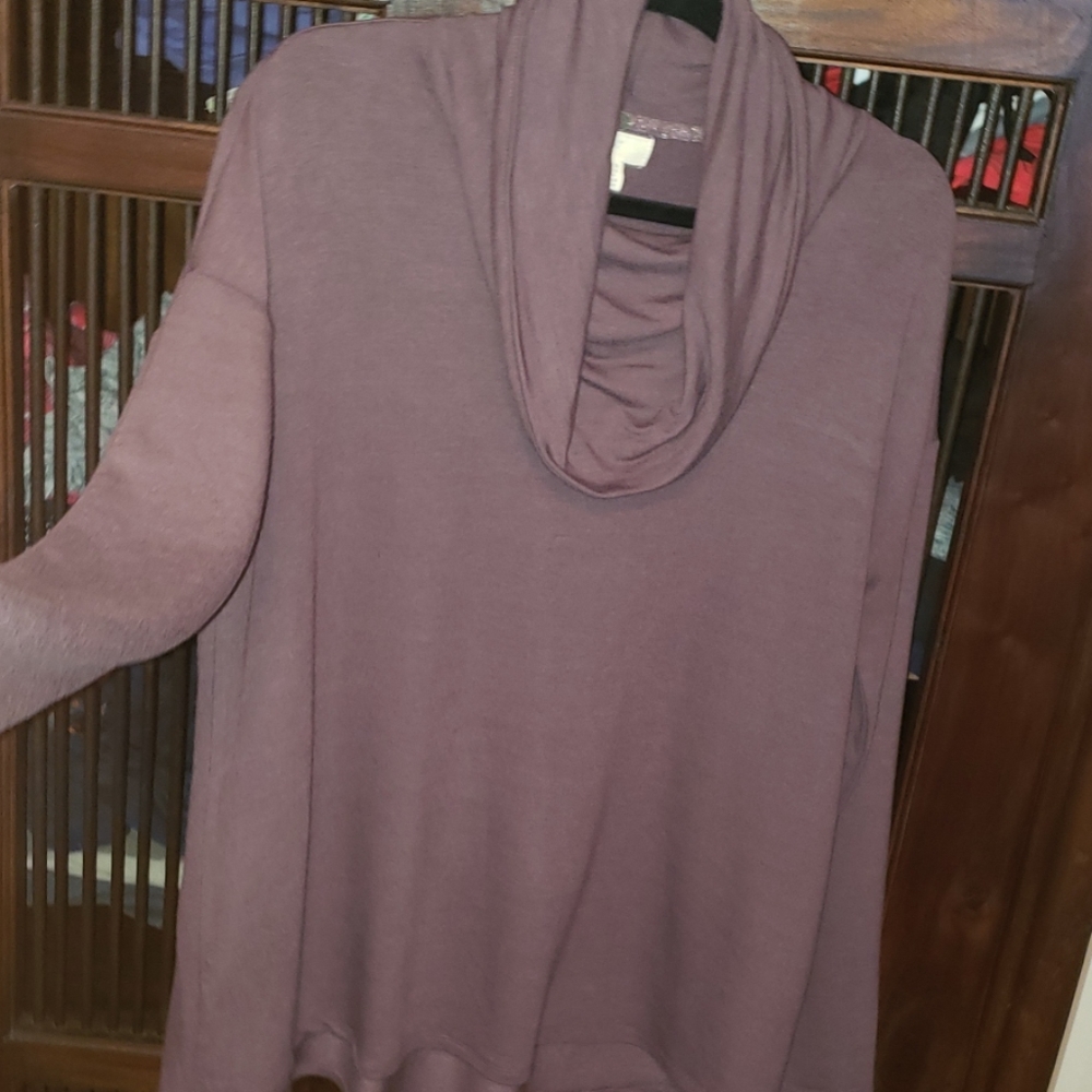 Plum longsleeve turtleneck top